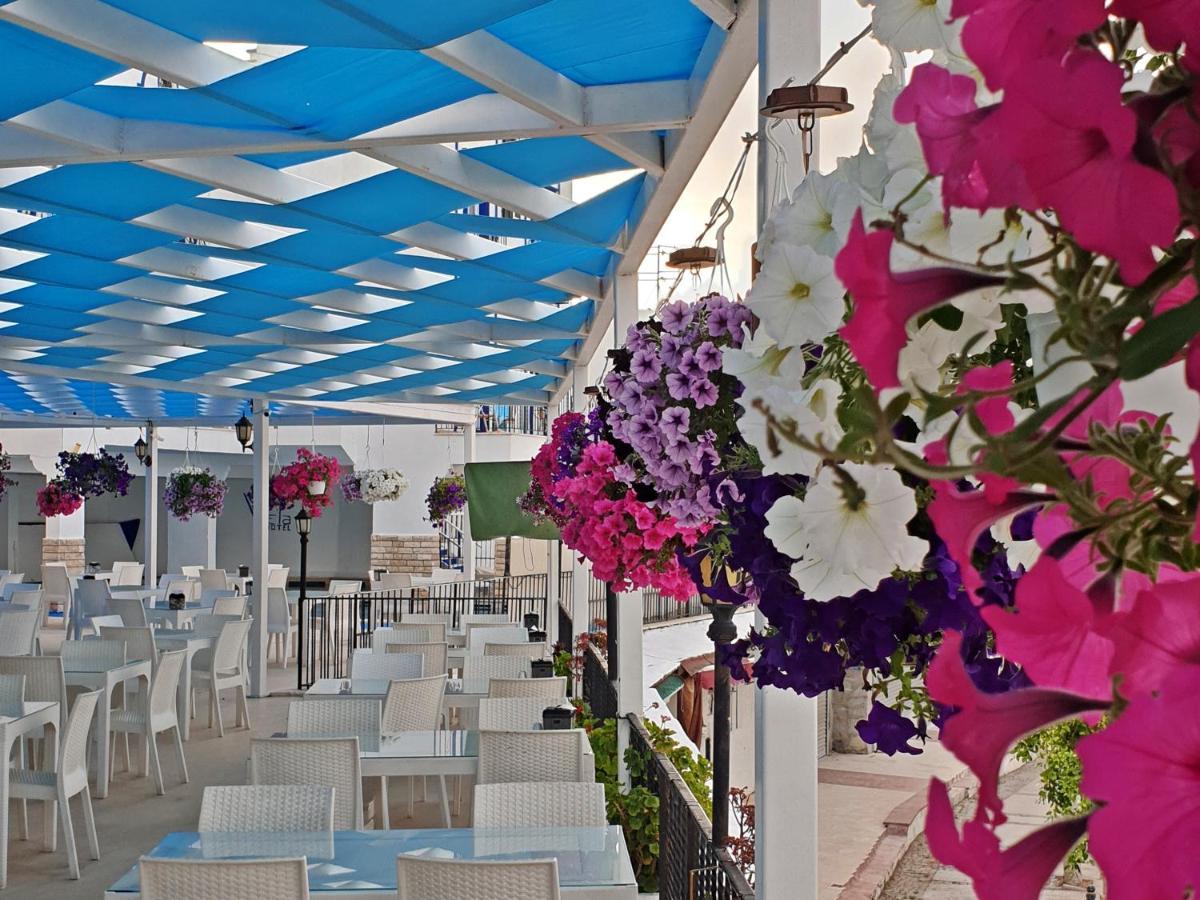 Sky Vela Hotel & Suites Gümbet Extérieur photo